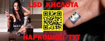 шишки Гатчина