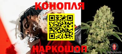 гашик Гагарин