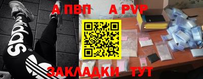 шишки Гатчина