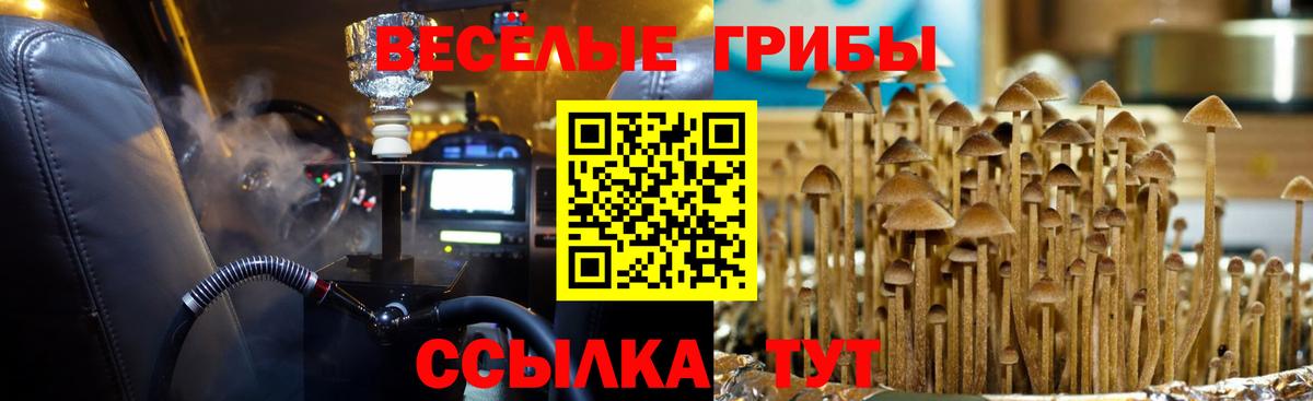Псилоцибиновые грибы MAGIC MUSHROOMS  Галлюциногенные грибы MAGIC MUSHROOMS  Сарапул  Вход с VPN 